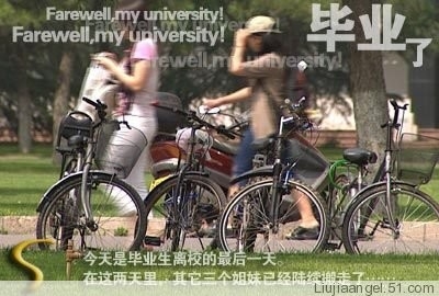 我的大学