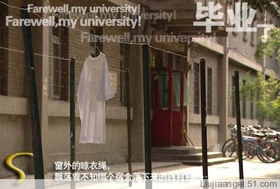 别了 我的大学