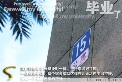 再见我的大学