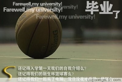 再见 我的大学