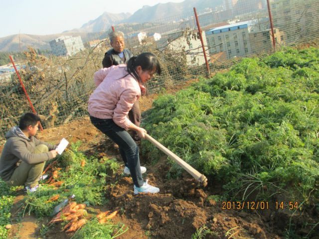 山东大学爱心协会赴幸福家园老年公寓义务劳动