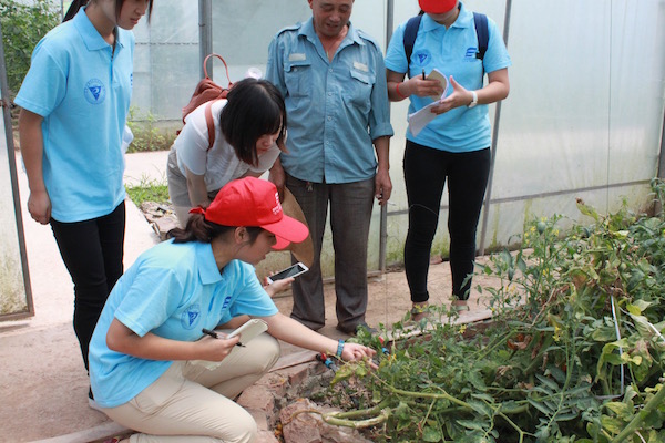 考察拔山镇蔬菜大棚基地