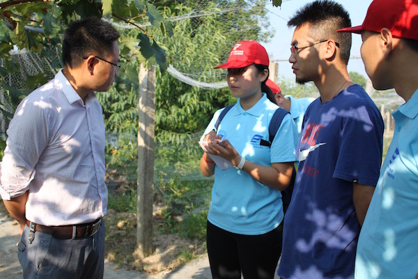 考察葡萄种植基地，帮助果农干实事