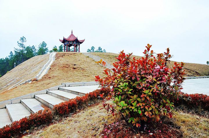 井冈山大学校园美景