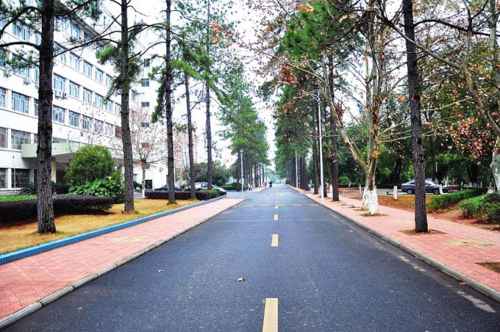 井冈山大学校园美景