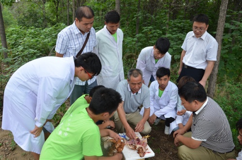 河南牧业经济学院师生赴基层开展科技支农活动