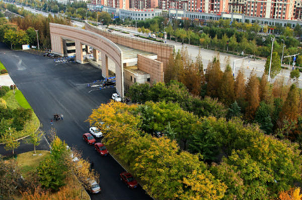 山东科技大学秋景如画 美爆校园